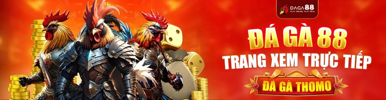 Sân đấu đá gà trực tuyến 8Kbet